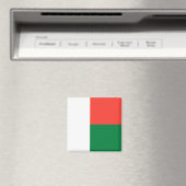 Madagaskar Magneet (Insitu (Vaatwasser))