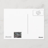 Madagaskar Palm Briefkaart (Achterkant)