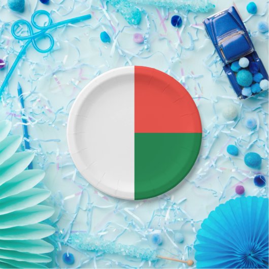Madagaskar Papieren Bordje (Feest)