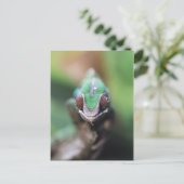 Madagaskar, Rode bar Panther Chameleon Briefkaart (Staand voorkant)