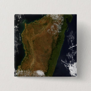 Madagaskar Vierkante Button 5,1 Cm