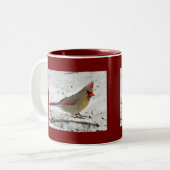 Madame Cardinal dans la tasse de neige (Devant gauche)