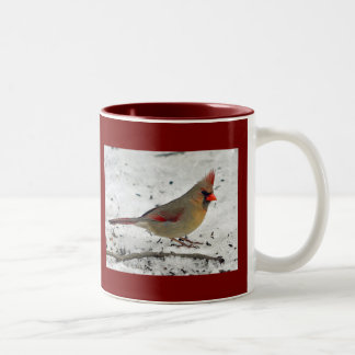 Madame Cardinal dans la tasse de neige