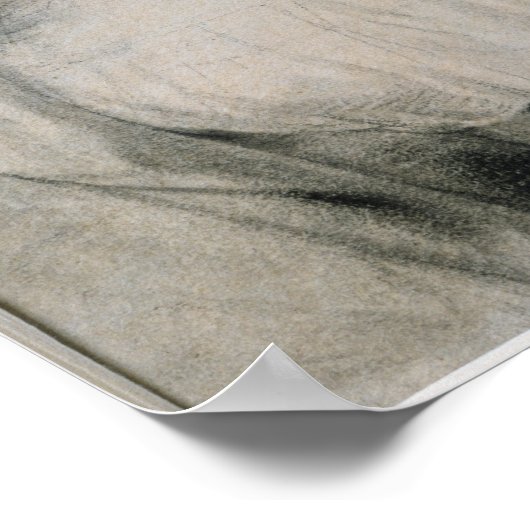 Madame de Stael 1810 Poster (Hoek)