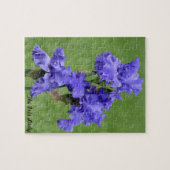 Madame Photo Puzzles et bidons d'iris (Horizontal)