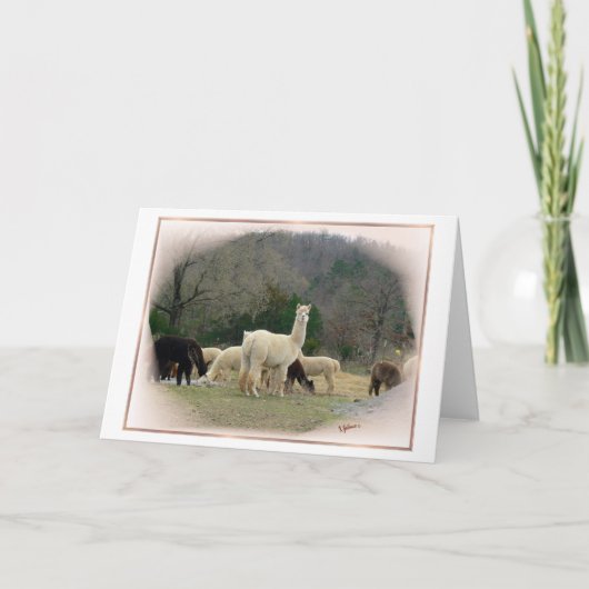 Madame Pompadour Kaart (Voorkant)