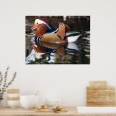 Madarin Duck Poster (Keuken)