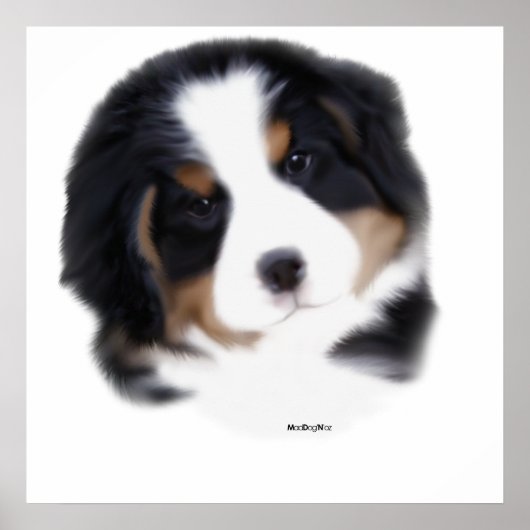 MadDog's Baby face Print (Voorkant)