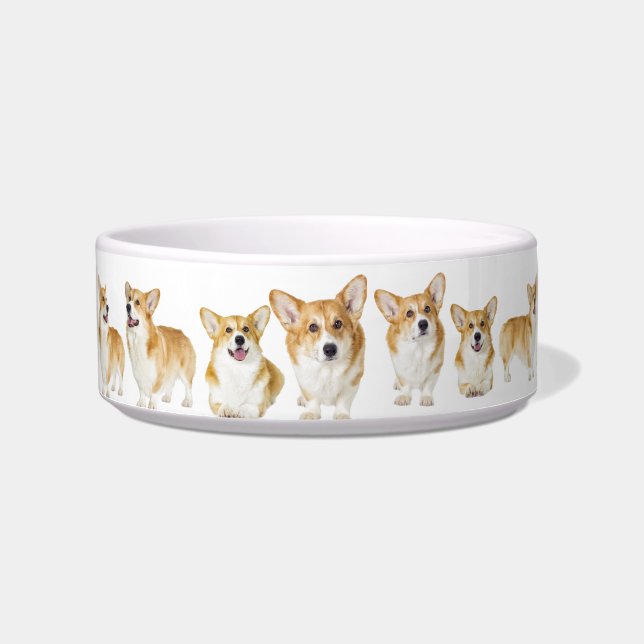 Made for Royalty, Schattig Corgi Medium Pet Bowl Voerbakje (Voorkant)