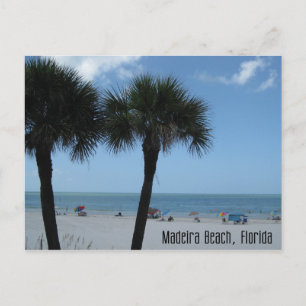 Madeira Beach Palms Postcard Briefkaart