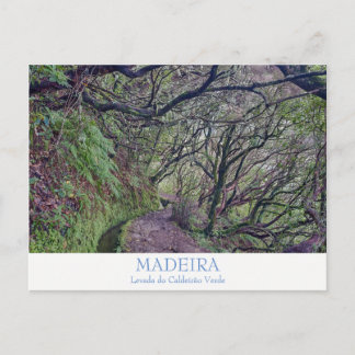 Madeira - Caldeirao Verde briefkaart met tekst