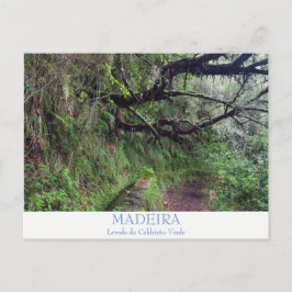 Madeira - Caldeirao Verde briefkaart met tekst