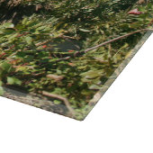 Madeira Eiland foto met Santana's Typische Huizen Snijplank (Hoek)