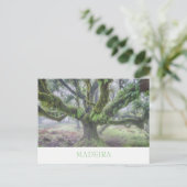 Madeira - Laurel tree briefkaart met tekst (Staand voorkant)