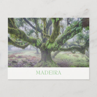 Madeira - Laurel tree briefkaart met tekst