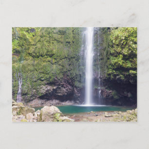 Madeira - Levada Do Caldeirao Verde carte postale