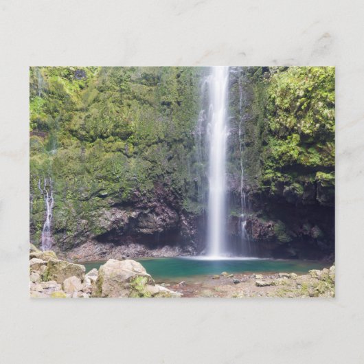 Madeira - Levada Do Caldeirao Verde carte postale (Devant)