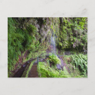 Madeira - Levada do Rei briefkaart