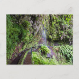 Madeira - Levada do Rei briefkaart