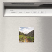 Madeira magneet - Levada do Caniçal (Insitu (Vaatwasser))