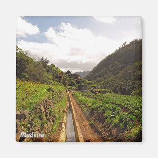 Madeira magneet - Levada do Caniçal