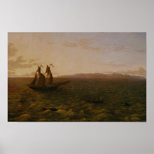 Madeira Poster (Voorkant)