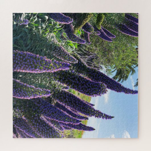 Madeira Pride Legpuzzel (Horizontaal)