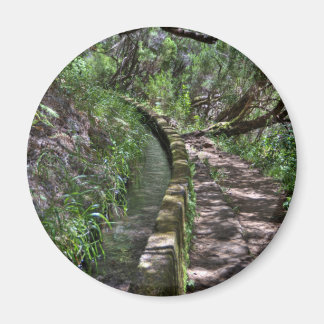 Madeira Road Way Magneet