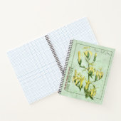 Madeiran Marvel : Carnet Musschia wollastonii (Intérieur)