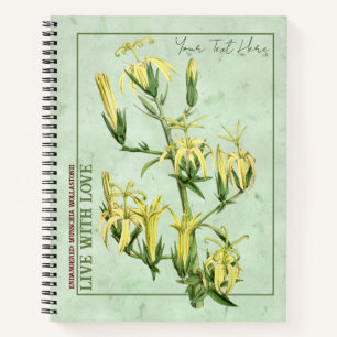 Madeiran Marvel : Carnet Musschia wollastonii