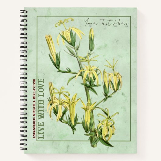 Madeiran Marvel : Carnet Musschia wollastonii (Devant)