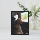 Madeleine prend une carte postale Drive (Debout devant)