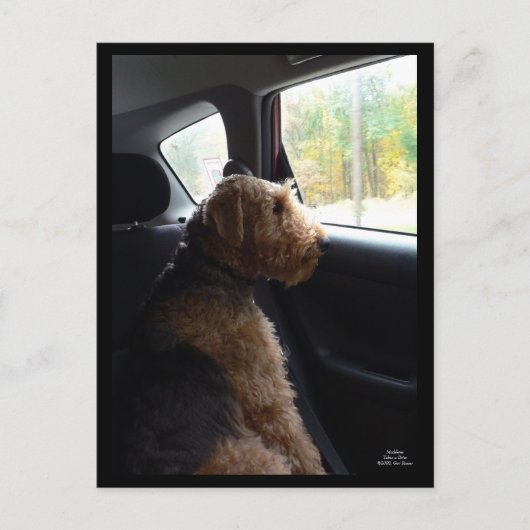 Madeleine prend une carte postale Drive (Devant)