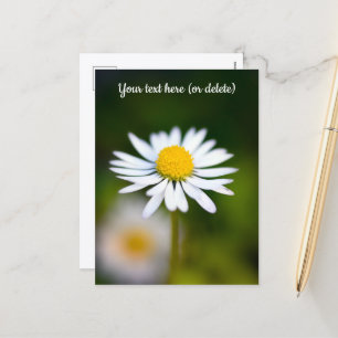Madeliefje Ansichtkaart Feestdagenkaart