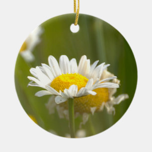 Madeliefje Foto Ornament