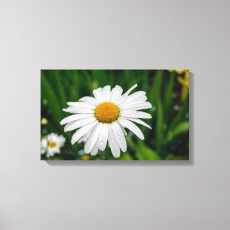 Madeliefje met in water gedrenkte canvas afdruk