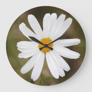 Madeliefje met regendruppel wandklok grote klok