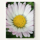  madeliefje notitieboek (Achterkant)