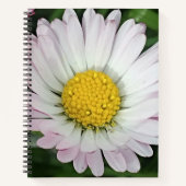  madeliefje notitieboek (Voorkant)