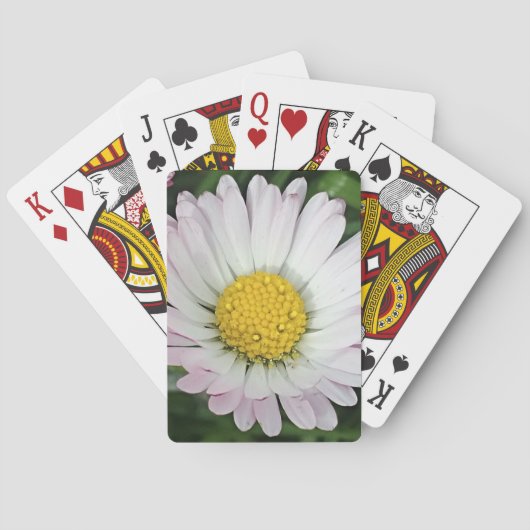 madeliefje pokerkaarten (Achterkant)