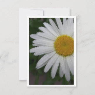 Madeliefje Portret Blanco Binnenkant Bedankkaart