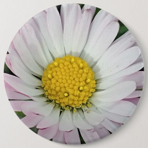 madeliefje ronde button 6,0 cm