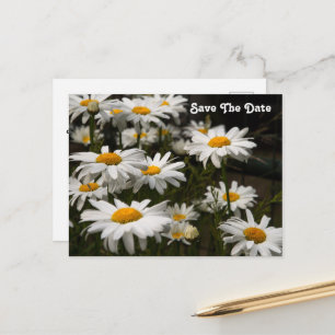 Madeliefje Save The Date-ansichtkaart Briefkaart