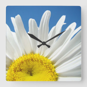 Madeliefjes Bloem Muurklok cadeaus Decoratief Ontw Vierkante Klok