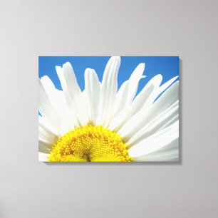 Madeliefjes Bloemen Bloemstukken Canvas kunstprint Afdruk