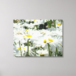 Madeliefjes Bloemen Decorative kunst Canvas Fotogr Afdruk
