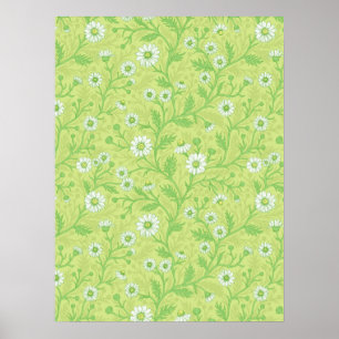 Madeliefjes in wit en groen op honingdauwgroen poster