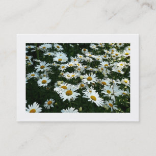 Madeliefjes, Mini Fotokaart Visitekaartje