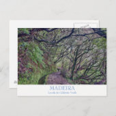 Madère - Caldeirao Verde carte postale avec texte (Devant / Derrière)