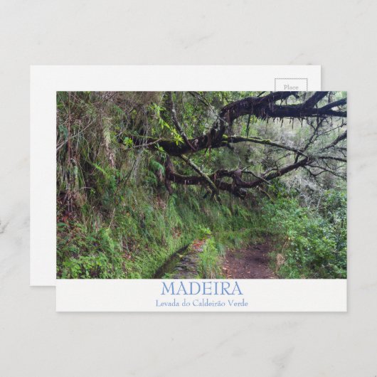 Madère - Caldeirao Verde carte postale avec texte (Devant / Derrière)